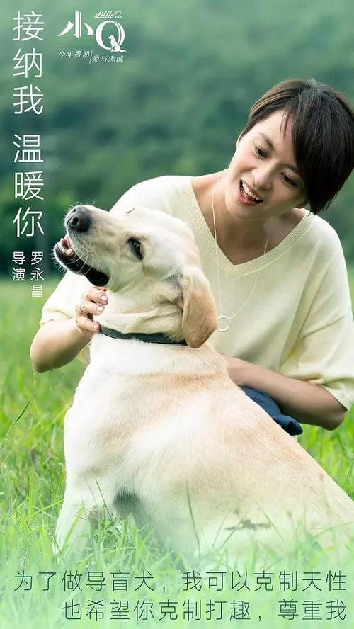 法国斯特拉斯堡病假条毕业证成绩单认证